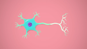 Neuro Recruitment, or How the brain accepts offers: 4 hints for recruiters